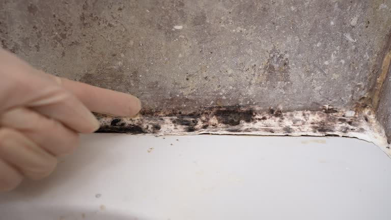 Best Airborne Mold Testing  in Toccoa, GA